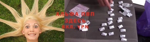 ПСИЛОЦИБИНОВЫЕ ГРИБЫ Дмитриев