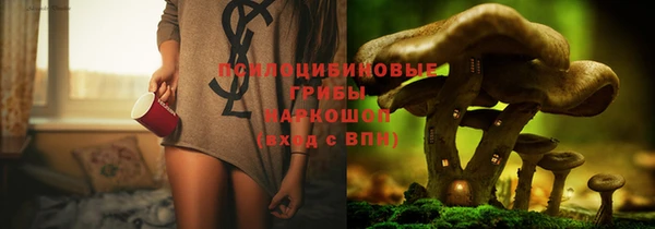 мяу мяу мука Дмитровск