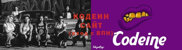 ПСИЛОЦИБИНОВЫЕ ГРИБЫ Дмитриев