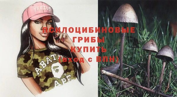 прущий лед Дмитров