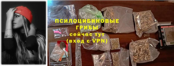 ПСИЛОЦИБИНОВЫЕ ГРИБЫ Дмитриев