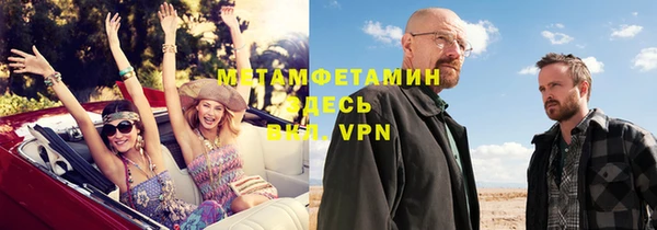 ПСИЛОЦИБИНОВЫЕ ГРИБЫ Дмитриев
