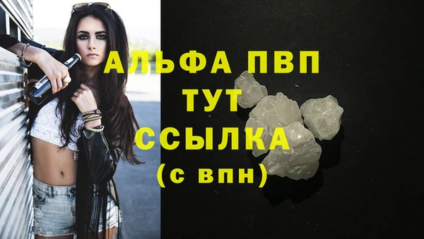 ПСИЛОЦИБИНОВЫЕ ГРИБЫ Дмитриев