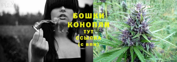 ПСИЛОЦИБИНОВЫЕ ГРИБЫ Дмитриев